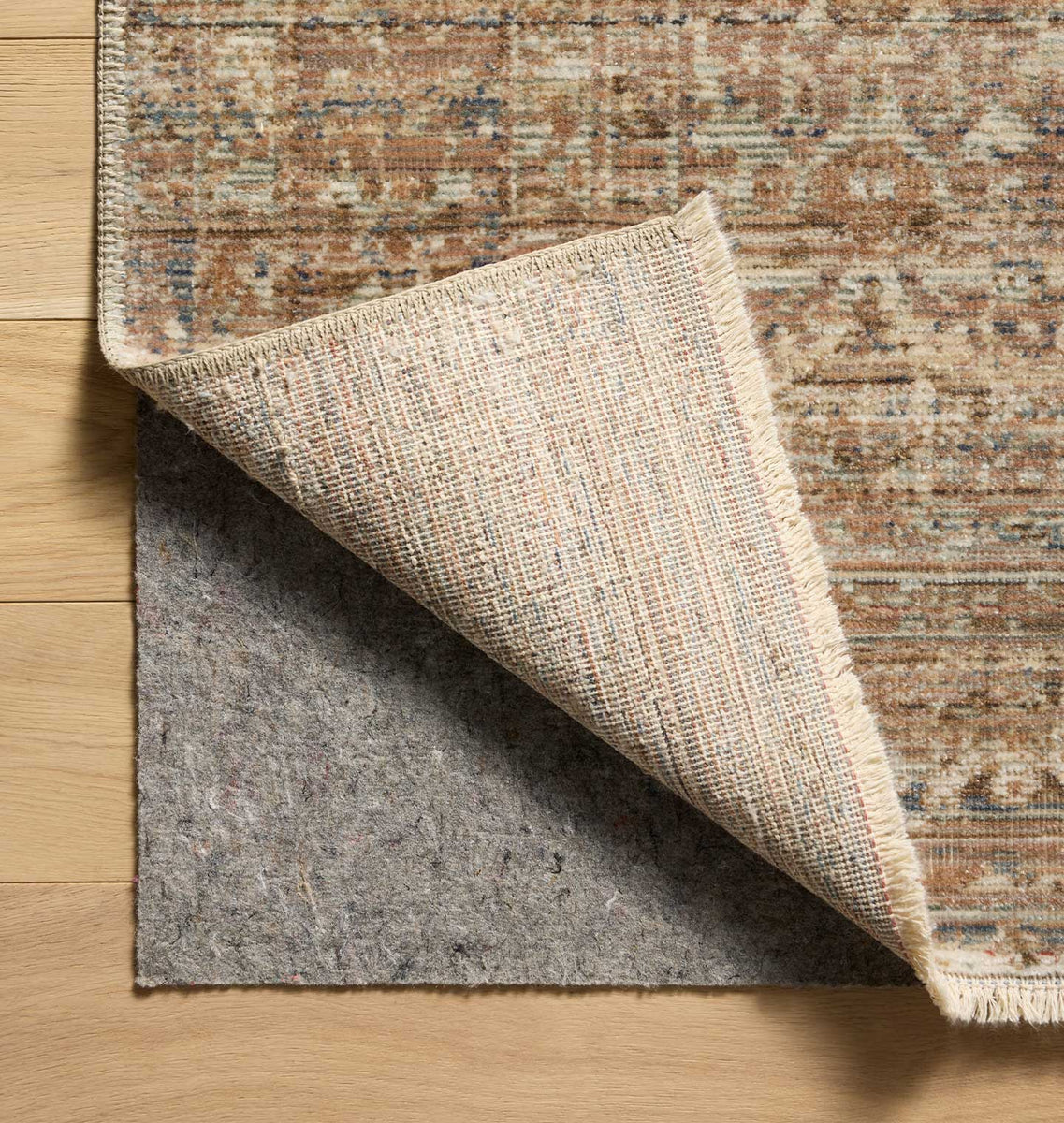 Molly MOL-01 Natural / Denim Area Rug | Shoppe Amber Interiors