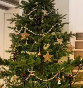 Woven Star Ornament
