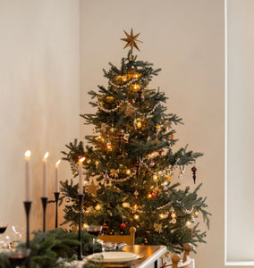 Starburst Tree Topper