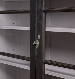 Vintage 19th Century English Pine Glazed Cabinet
