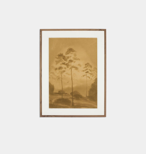 Amongst The Giants by Chelsea Fly Framed Print