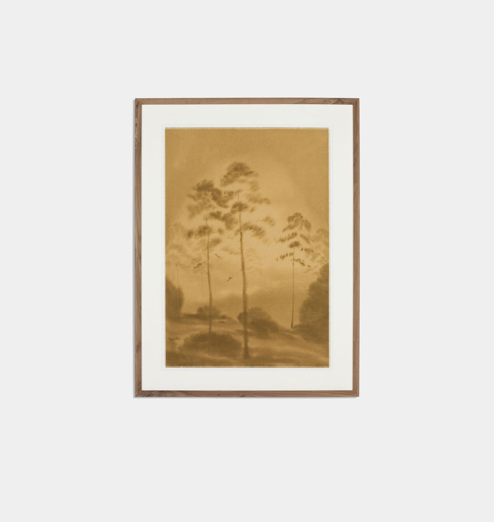 Amongst The Giants by Chelsea Fly Framed Print