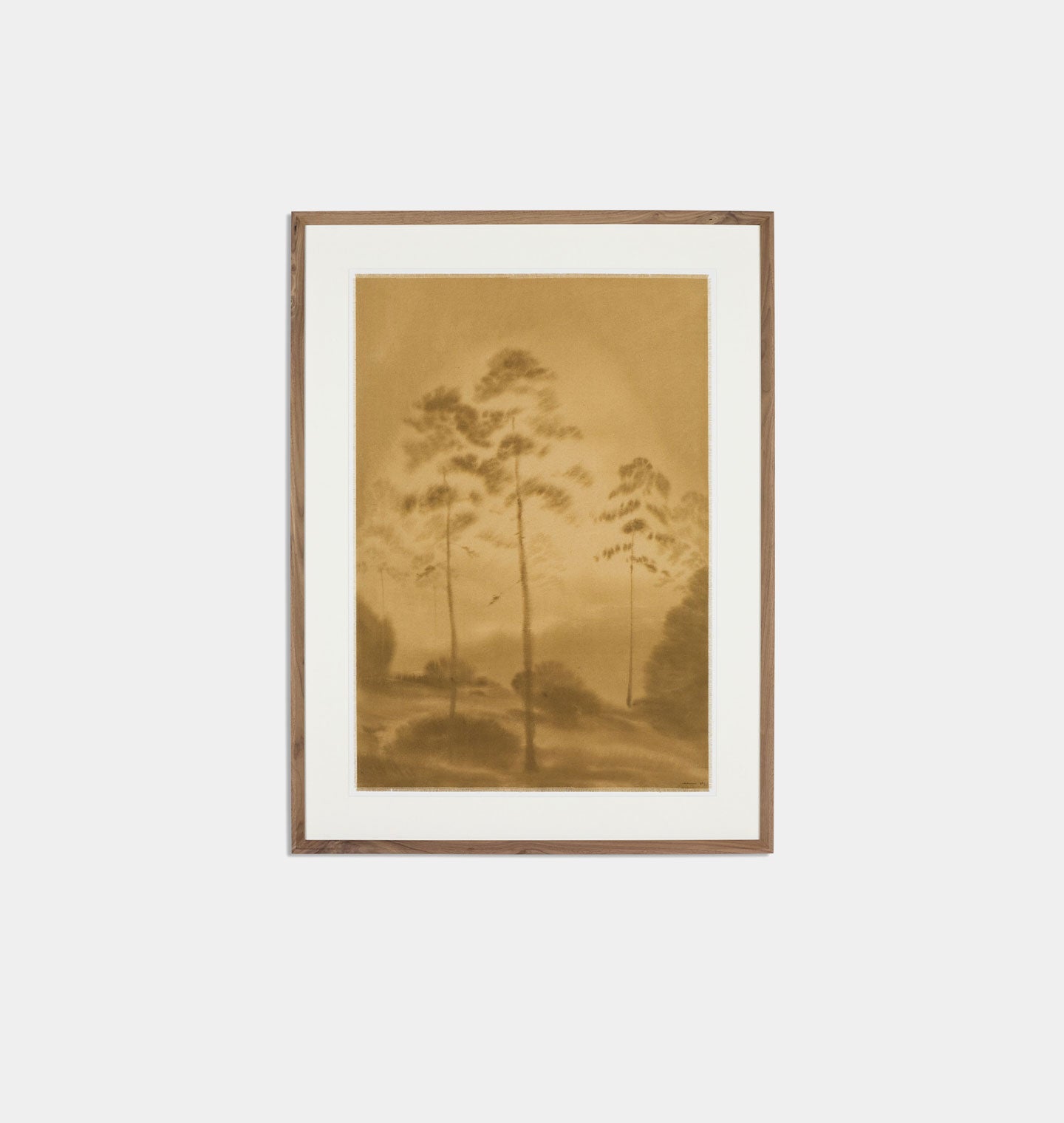 Amongst The Giants by Chelsea Fly Framed Print