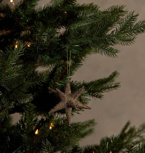 Ellis Star Ornament