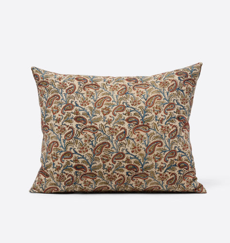 Rani Paisley Pillow 17