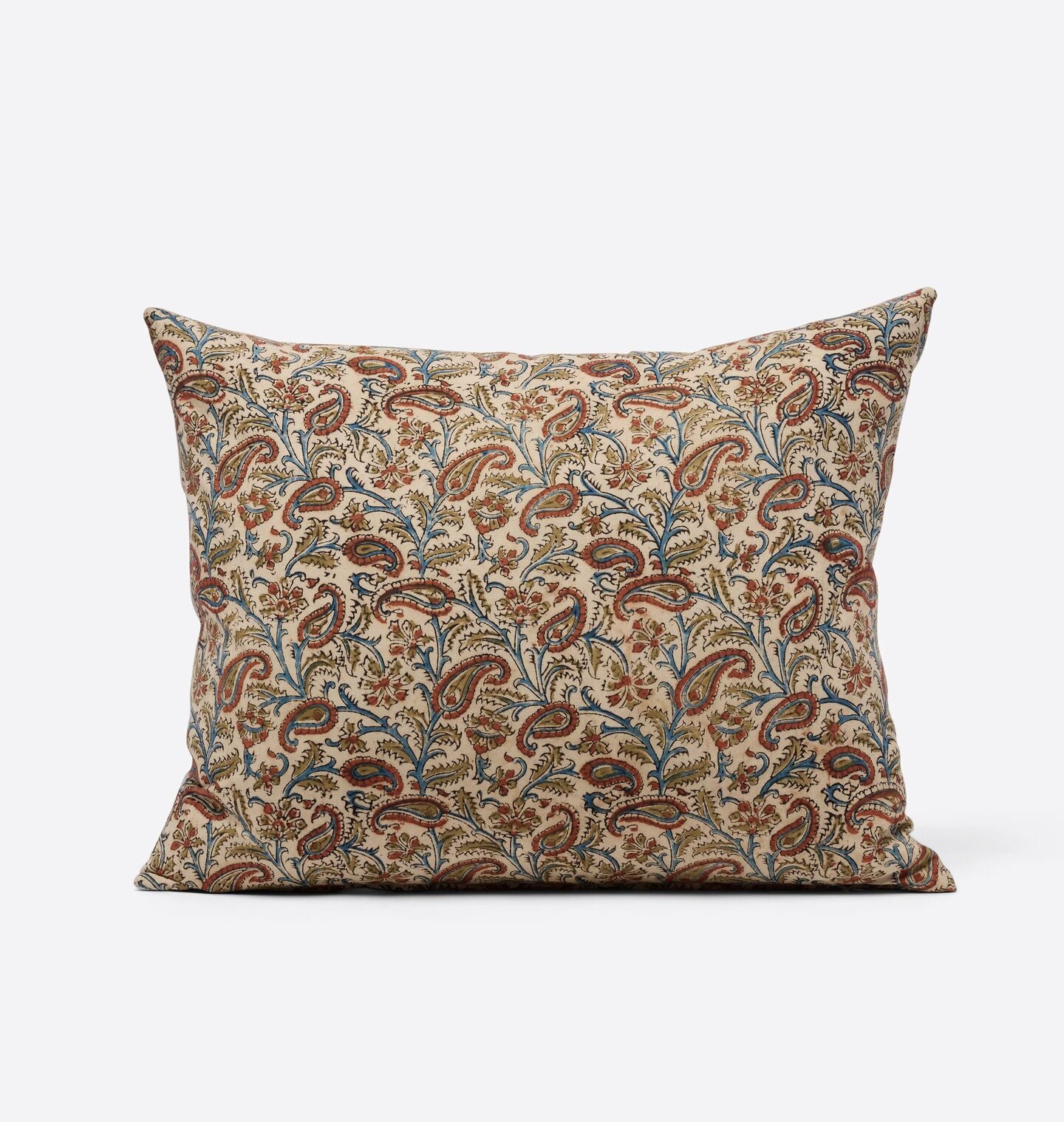 Rani Paisley Pillow 17