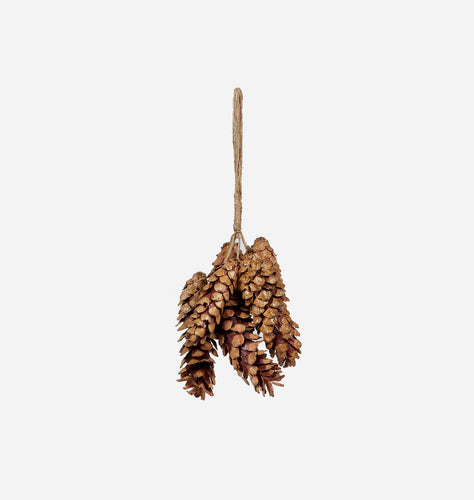 Dried Natural Pinecone Ornament S/6