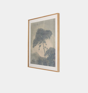 Canopy by Chelsea Fly Framed Print