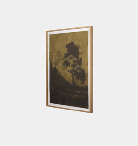 Dancing In Dusk by Chelsea Fly Framed Print