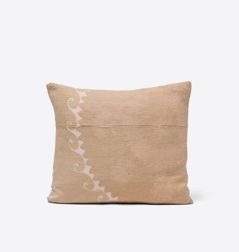Taz Vintage Pillow 17
