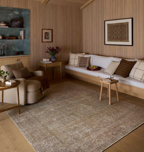 Cambria CBR-06 Multi / Natural Area Rug