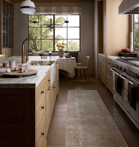 Cambria CBR-06 Multi / Natural Area Rug
