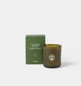 Flamingo Estate Candle Olive Tree