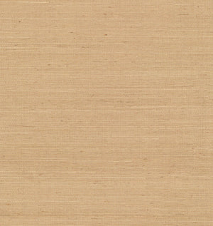 Field Grasscloth Wallpaper Brush Sample
