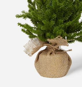 Faux Evergreen Tabletop Tree Large