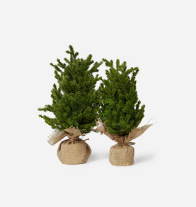 Faux Evergreen Tabletop Tree 