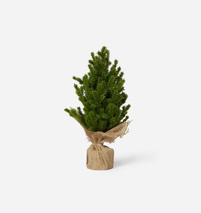 Faux Evergreen Tabletop Tree Medium