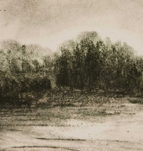 Meadow by Dan Hobday Framed Print