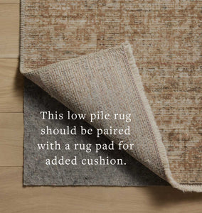 Molly MOL-08 Antique / Multi Area Rug