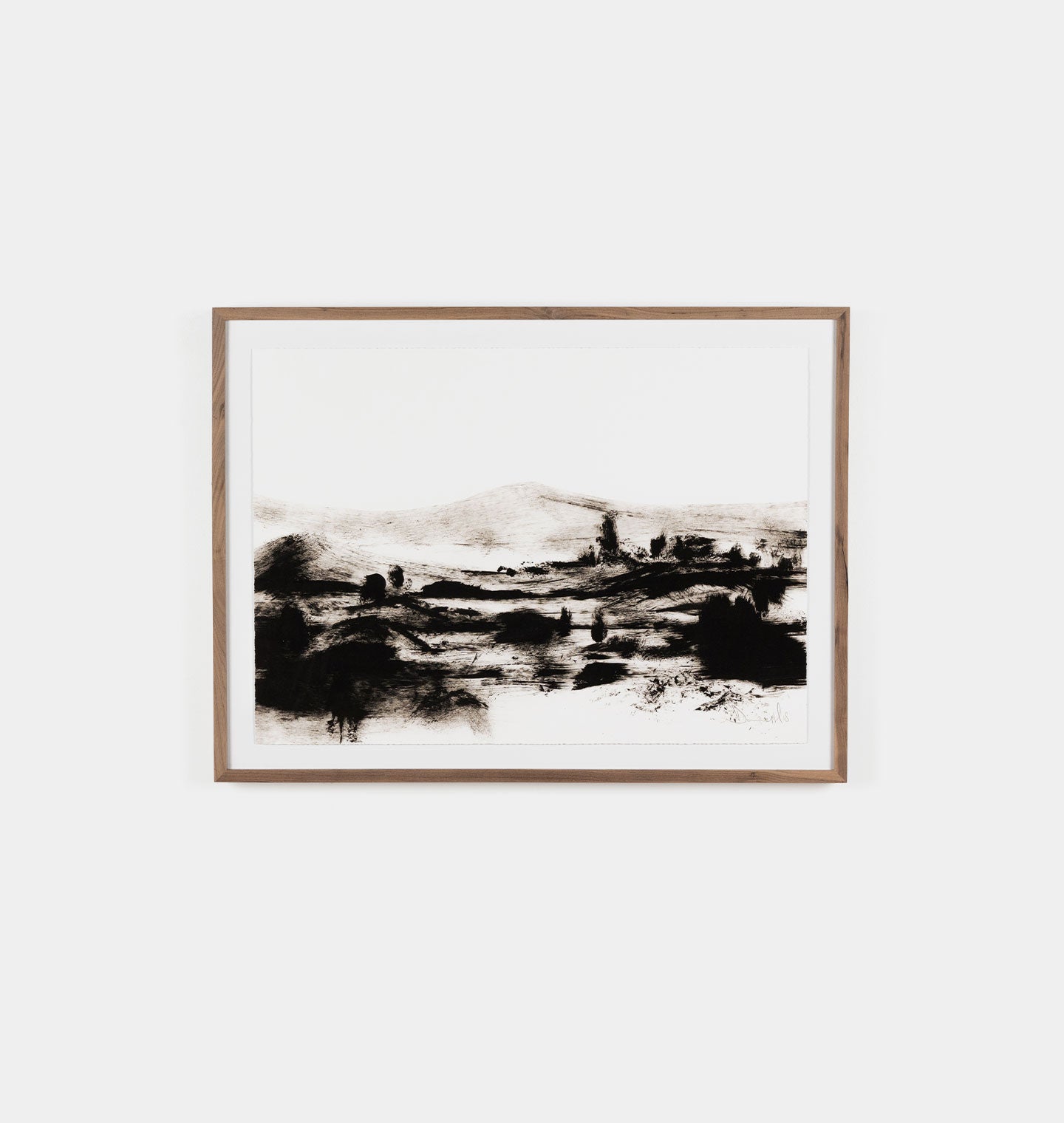 Mono Land Framed Print