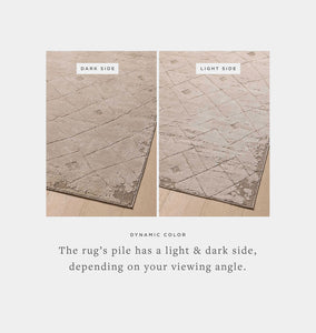 Monty MOT-05 Beige / Natural Area Rug