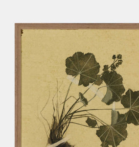 Petite Study No. VII by Hannah Winters Framed Print