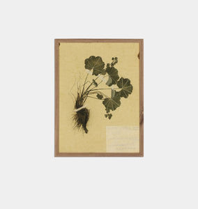 Petite Study No. VII by Hannah Winters Framed Print