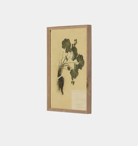 Petite Study No. VII by Hannah Winters Framed Print