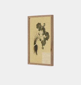 Petite Study Triptych by Hannah Winters Framed Print