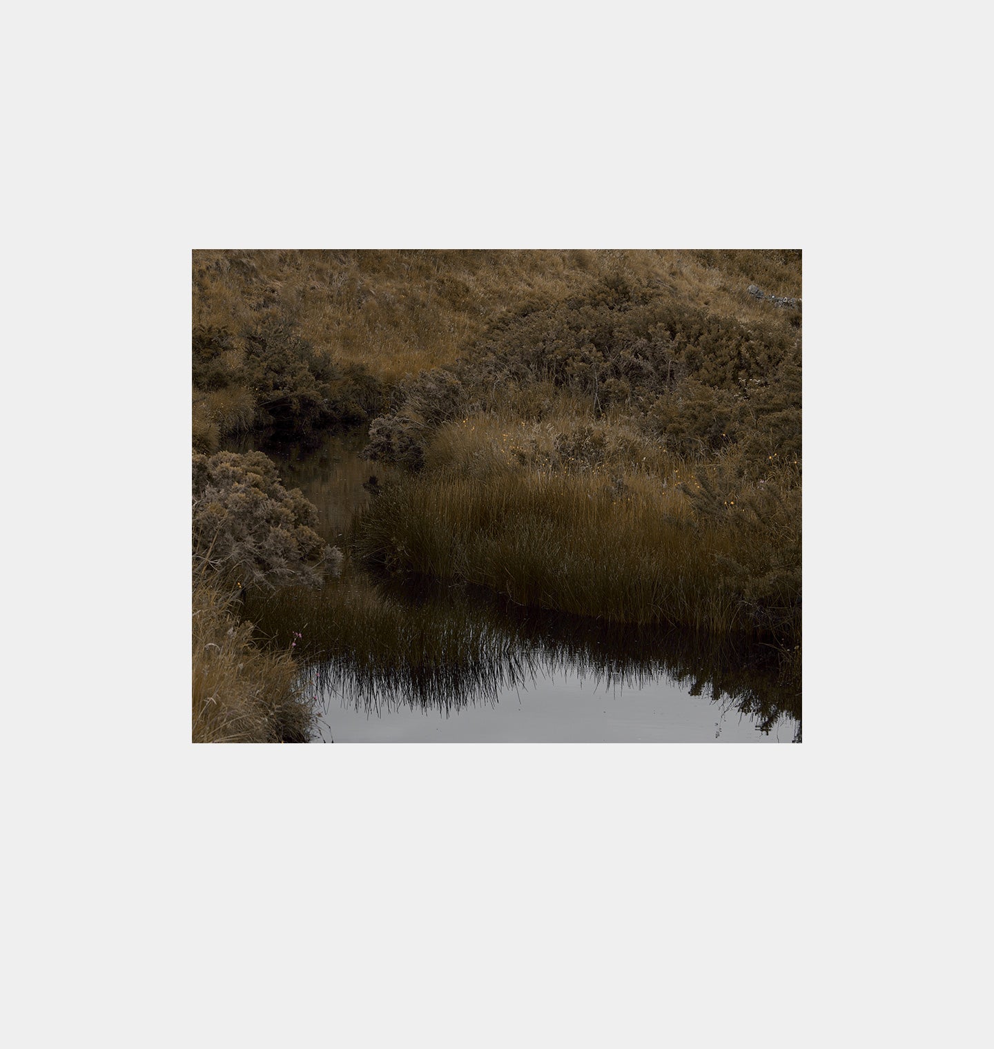 Riverine Unframed Print