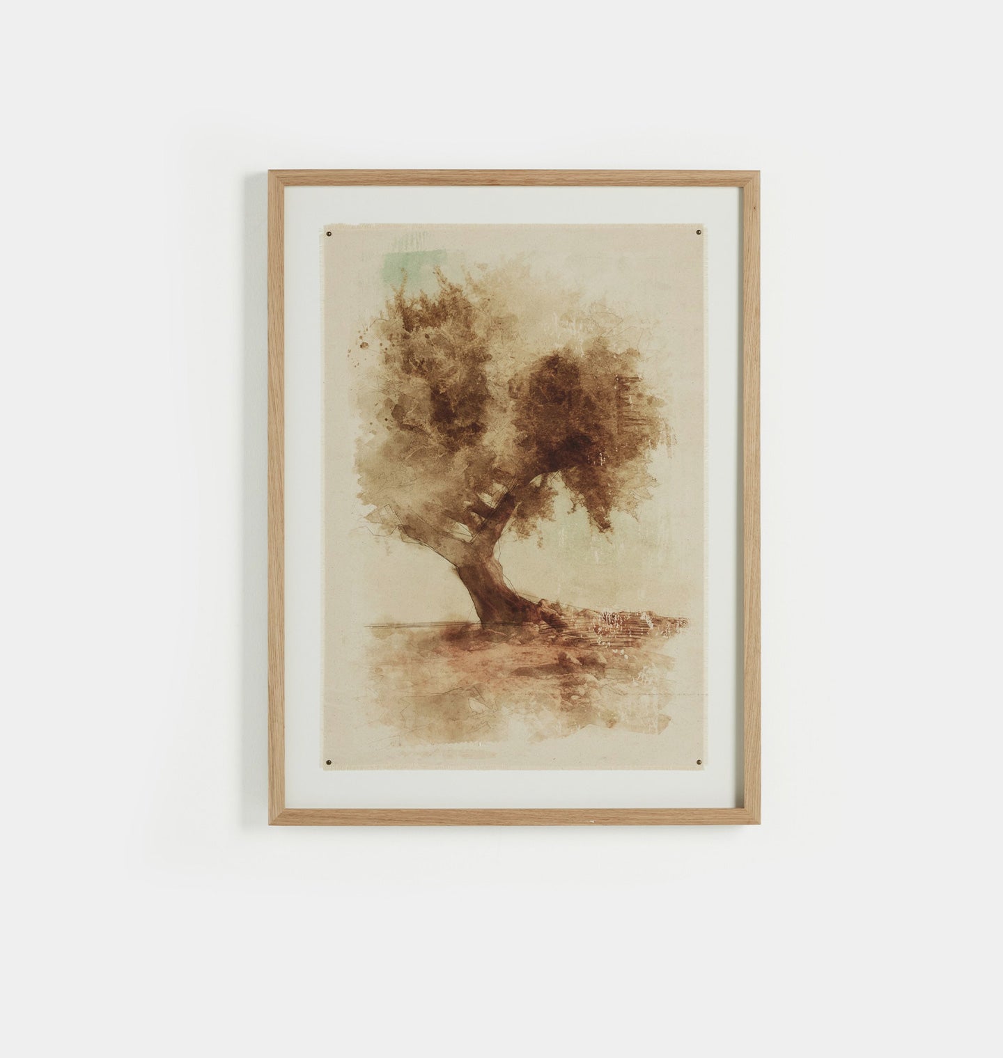 Undone Cypress by Coup d'Esprit Framed Print