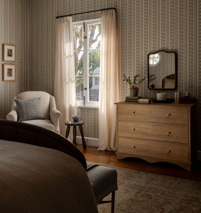 Amber Lewis for Visual Comfort & Co. | Shoppe Amber Interiors