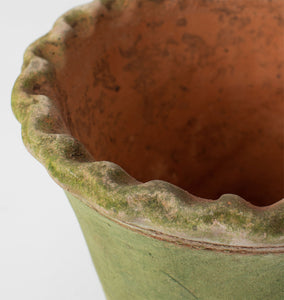 scalloped edge planter pot Scalloped Nursery Planter