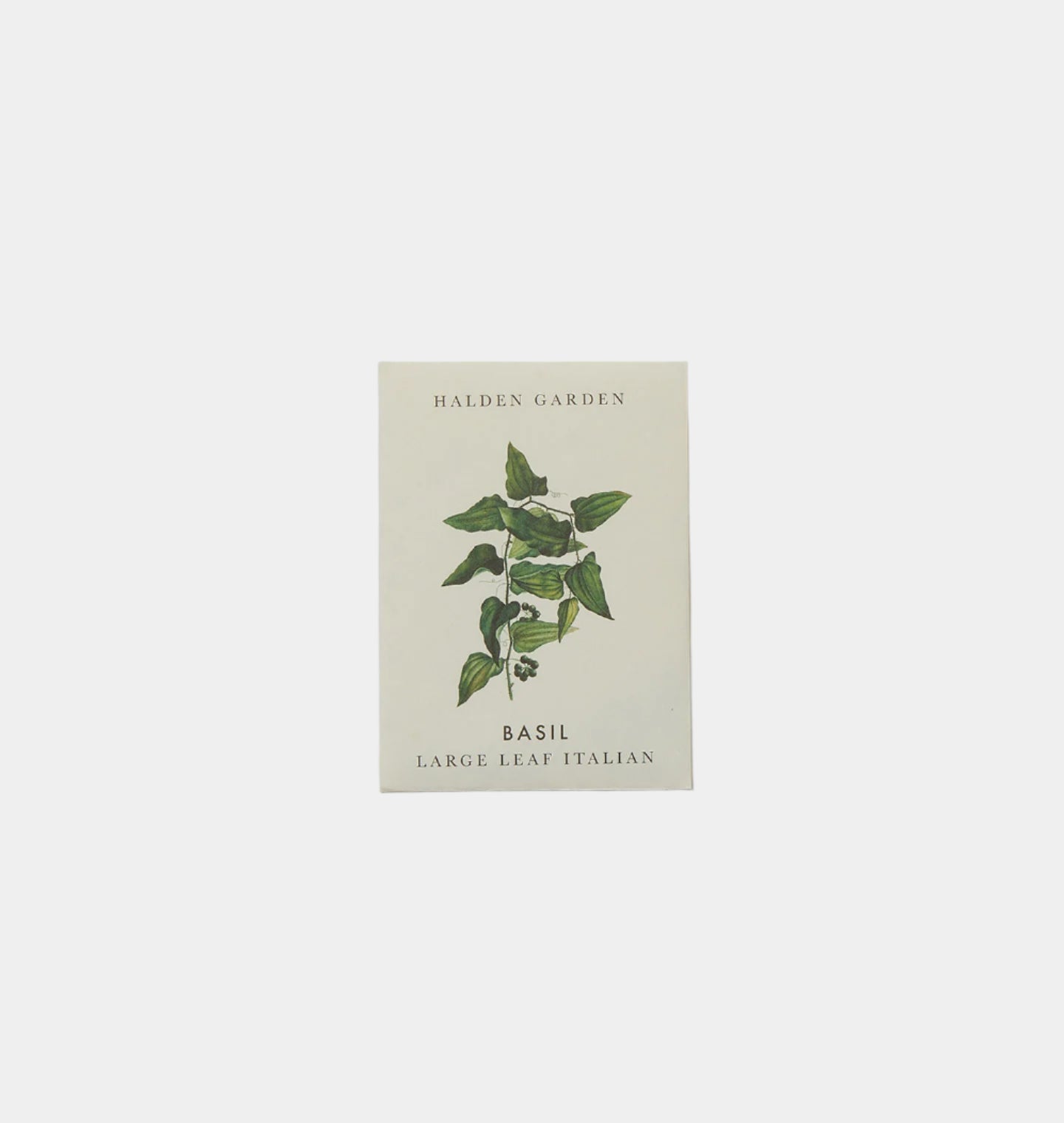 Seed Packet Basil