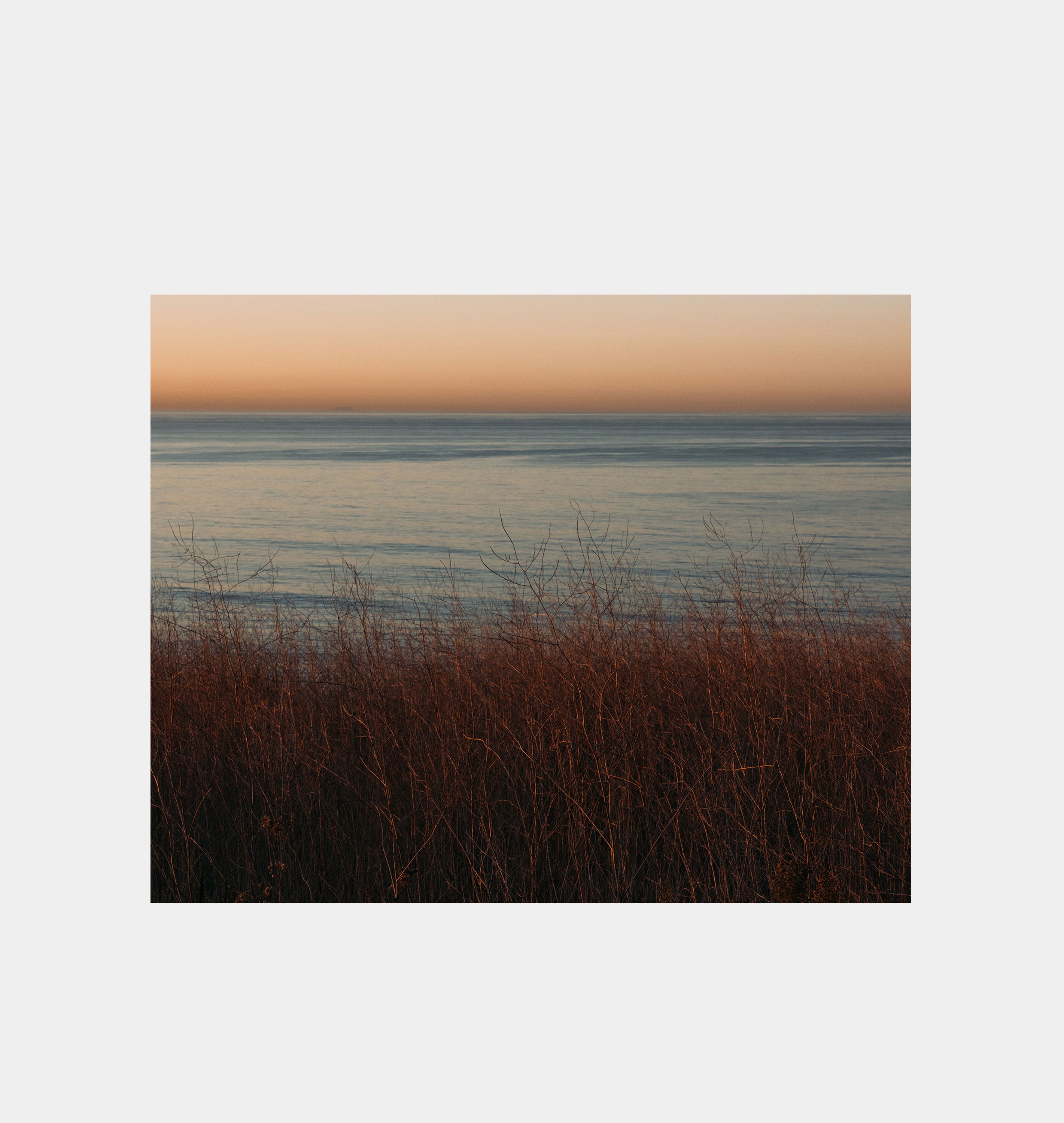Rennie Solis Malibu Morning 01