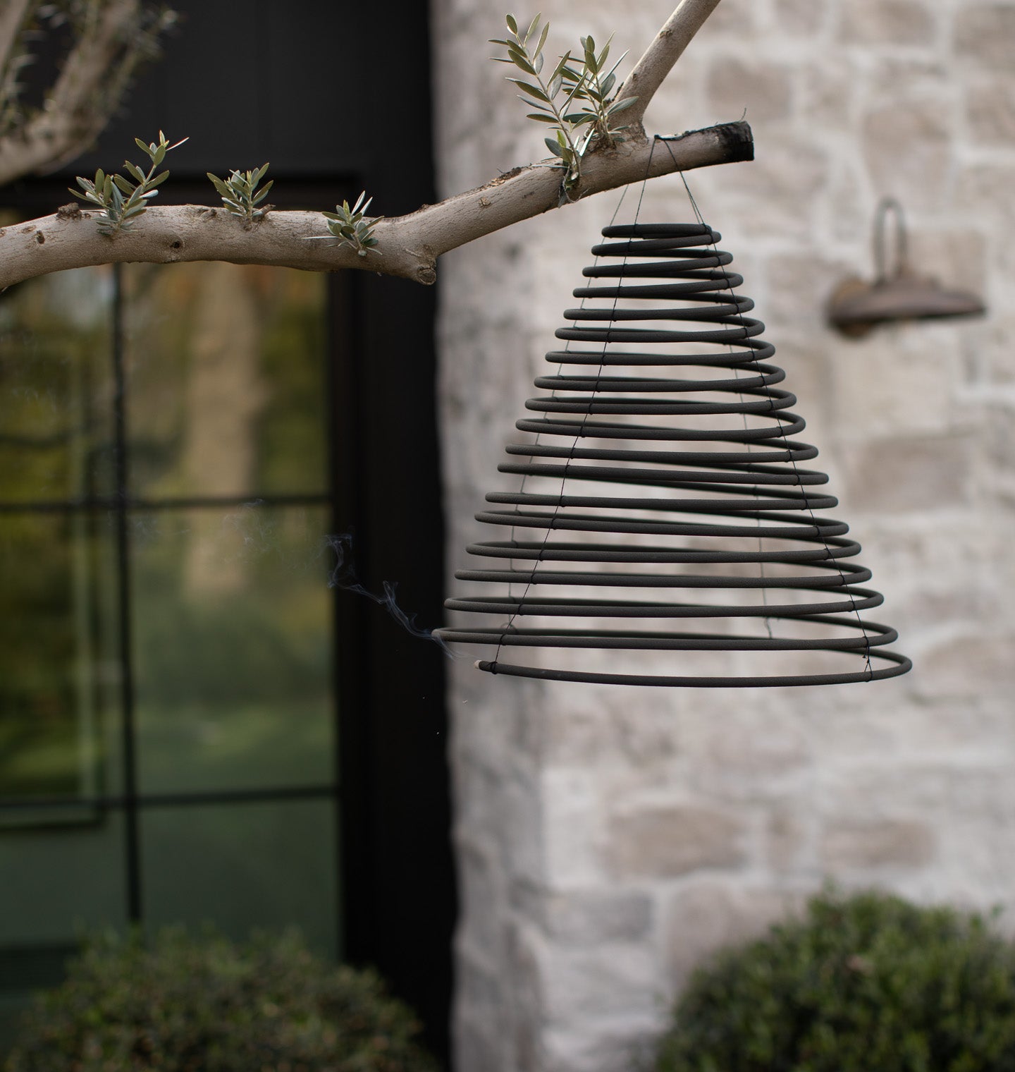 Citronella Coil - Thumbnail 4