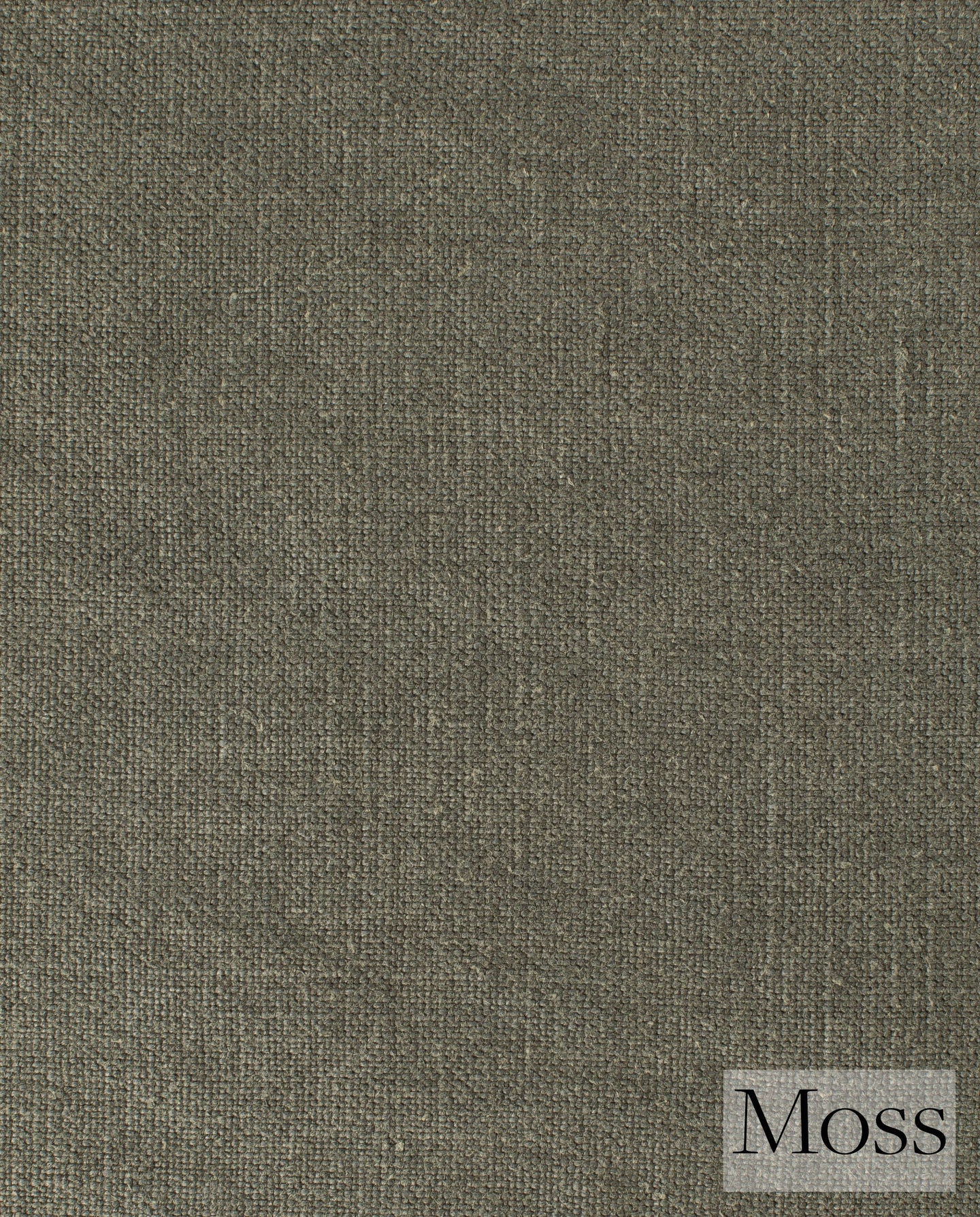 Moss Fabric Swatch